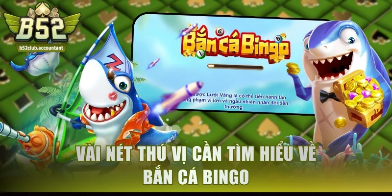 Vài nét thú vị cần tìm hiểu về bắn cá Bingo